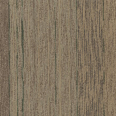 Shaw Carpet Tile Unscripted Reality Tv Swatch