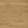 4.48 / Quercia