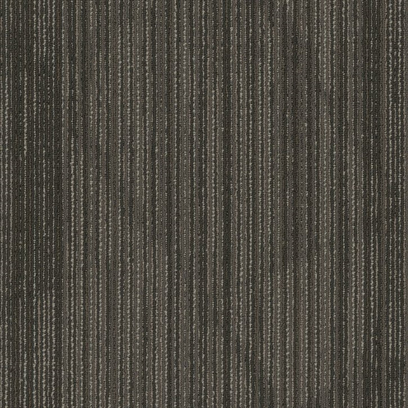 Shaw Carpet Tile Visionary Cutting Edge