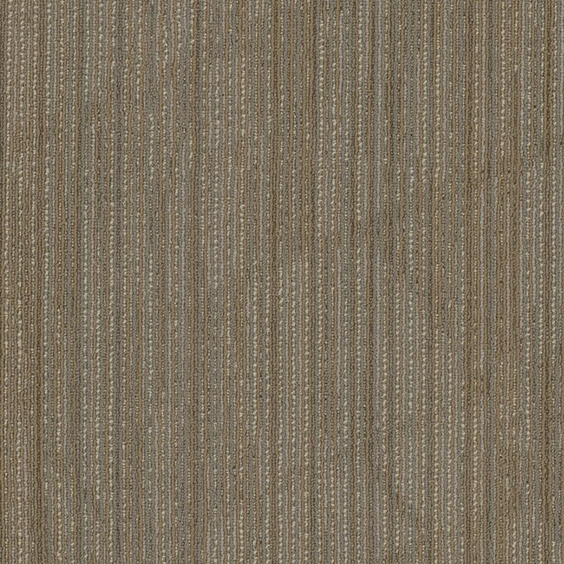 Shaw Carpet Tile Visionary Imaginary