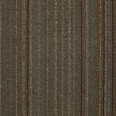Shaw Carpet Tile Wired Energize Swatch