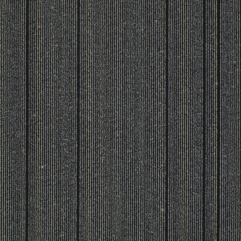 Shaw Carpet Tile Wired Startled