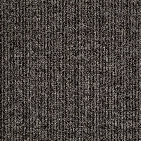 Shaw Carpet Tile Step On It Move Along Swatch