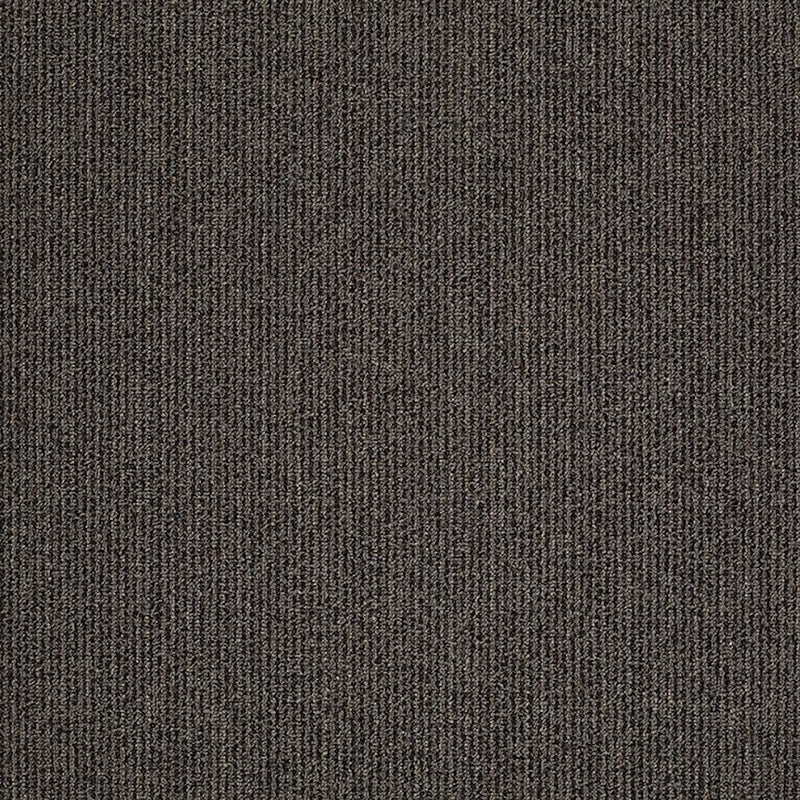 Shaw Carpet Tile Step On It Move Along