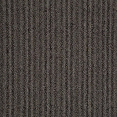 Shaw Carpet Tile Step On It Move Along Swatch