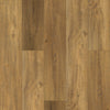 Shaw Pantheon HD Plus Foresta Swatch