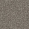 Shaw Carpet Tile Knot It Tangle Swatch