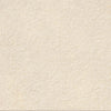 Tile Collection Urban Living 24x48 Tile Tan Raw