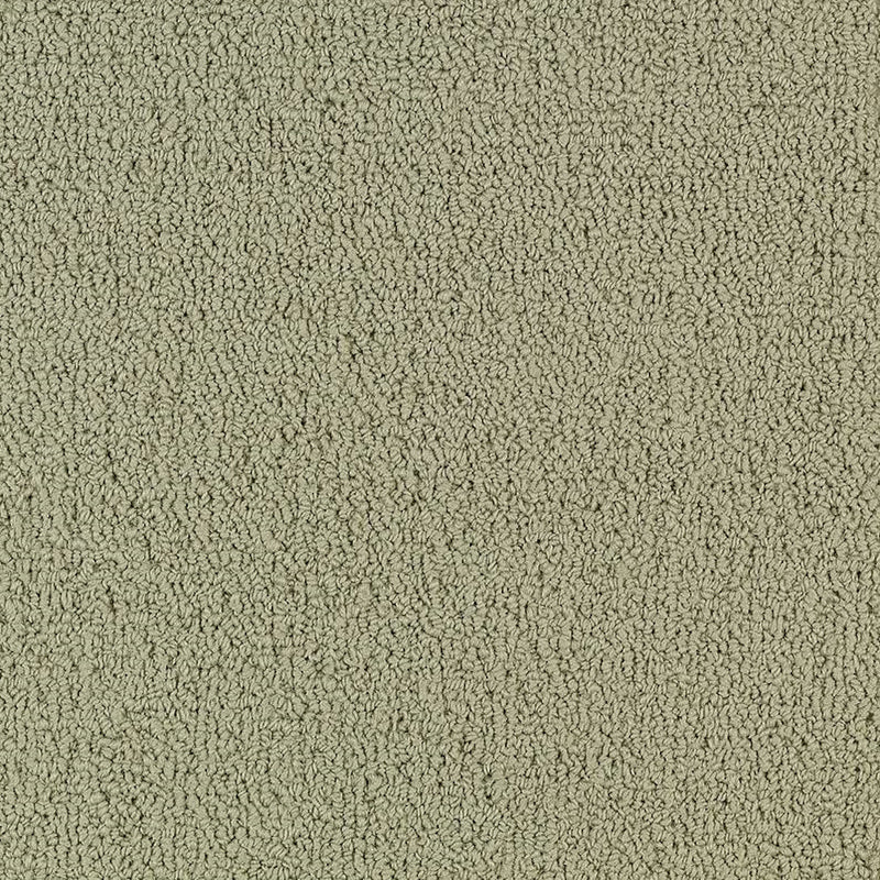 Shaw Carpet Tile Color Accents Light Taupe