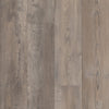 Shaw Pantheon HD Plus Tempesta Swatch