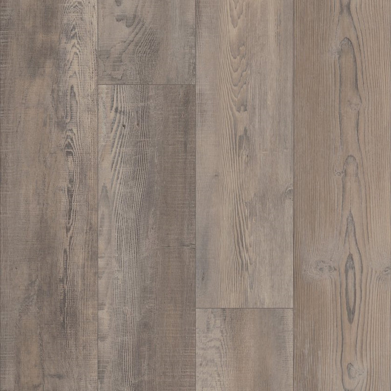Shaw Pantheon HD Plus Tempesta