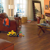 Mannington Adura Rigid Plank Acacia Tiger's Eye Room Scene