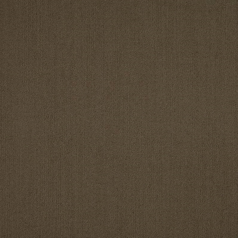 Shaw Carpet Tile Color Accents Timber