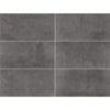 Daltile Emergent Rectangle 12x24 Titanium