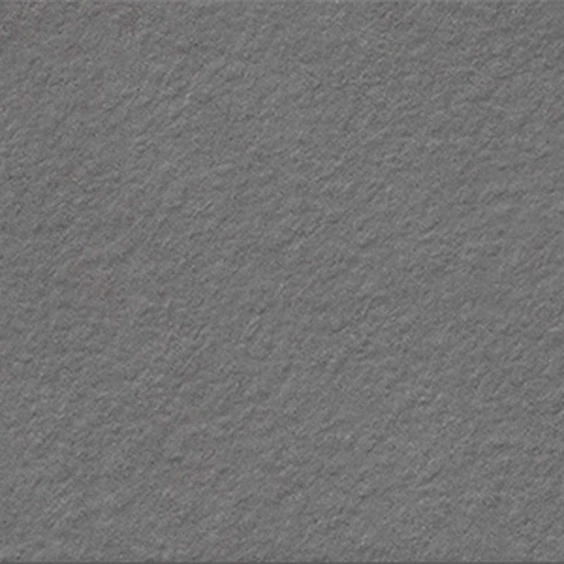 Tile Collection Urban Living 24x24 Tile Titanium Raw
