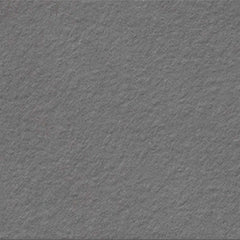 Tile Collection Urban Living 24x24 Tile Titanium Raw