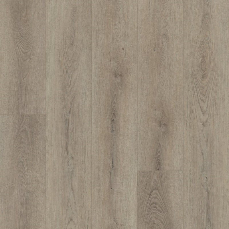 Shaw Paladin Plus Toasted Taupe