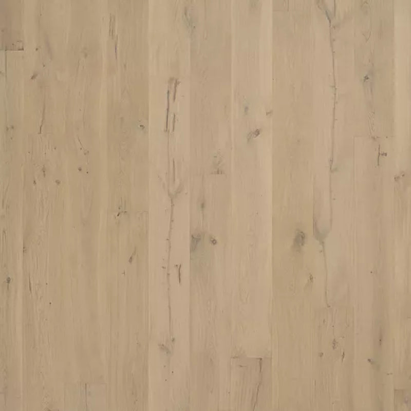 Mohawk Madera Trace Topeka Taupe Oak