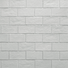 Paramount Tile Recovery Stone Total White 5" x 10"
