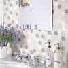 Daltile Idyllic Blends Tranquil Snow IB01 Hexagon Mosaic 11"x11" Room Scene