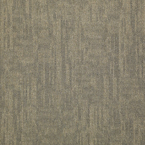 Shaw Carpet Tile Carbon Copy Transfer Swatch