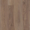 Shaw Pantheon HD+ Natural Bevel Truffle Swatch