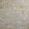 Daltile Sand And Stone Rectangle Stone 24x48 Tundra