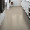 Shaw Floorte Ascent Natural Bevel Tundra