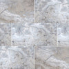 MSI - Pavers - Silver Travertine 16x24 Swatch