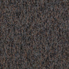 Shaw Carpet Tile No Limits Tile Unending Swatch