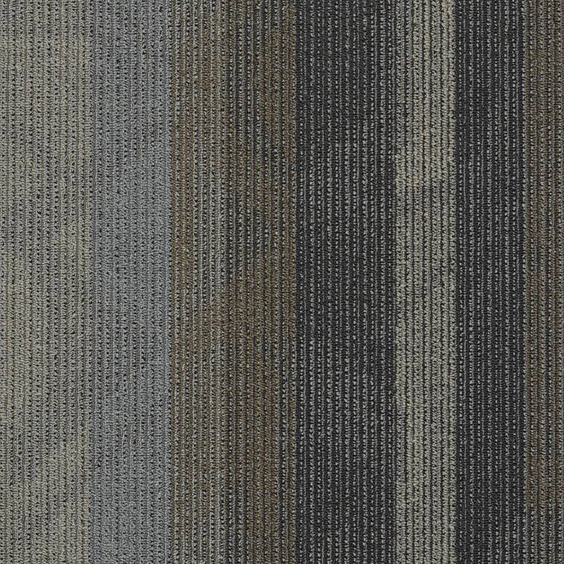 Shaw Carpet Tile Feedback Velocity