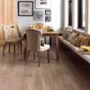 Karndean Luxury Vinyl Van Gogh Frosted Birch Room Scene