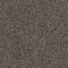 Shaw Carpet Tile Multiplicity Volume Swatch