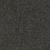 Shaw Carpet Tile Multiplicity Volume 24” Swatch