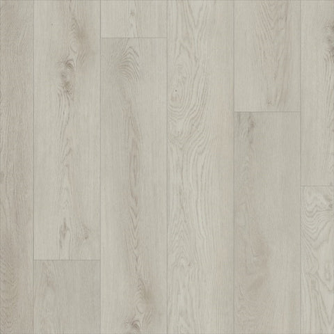 Shaw Paladin Plus Warm Grey Swatch