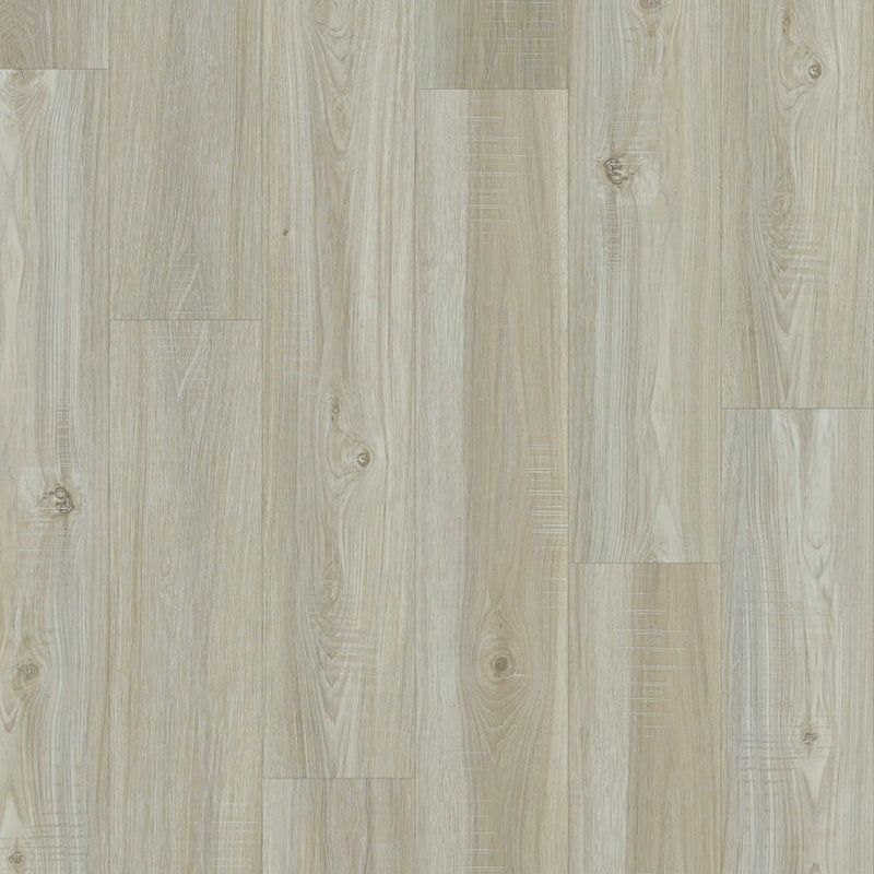 Shaw Impact Plus Washed Oak
