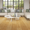 Mohawk Saltgrass Springs Westerly Room Scene