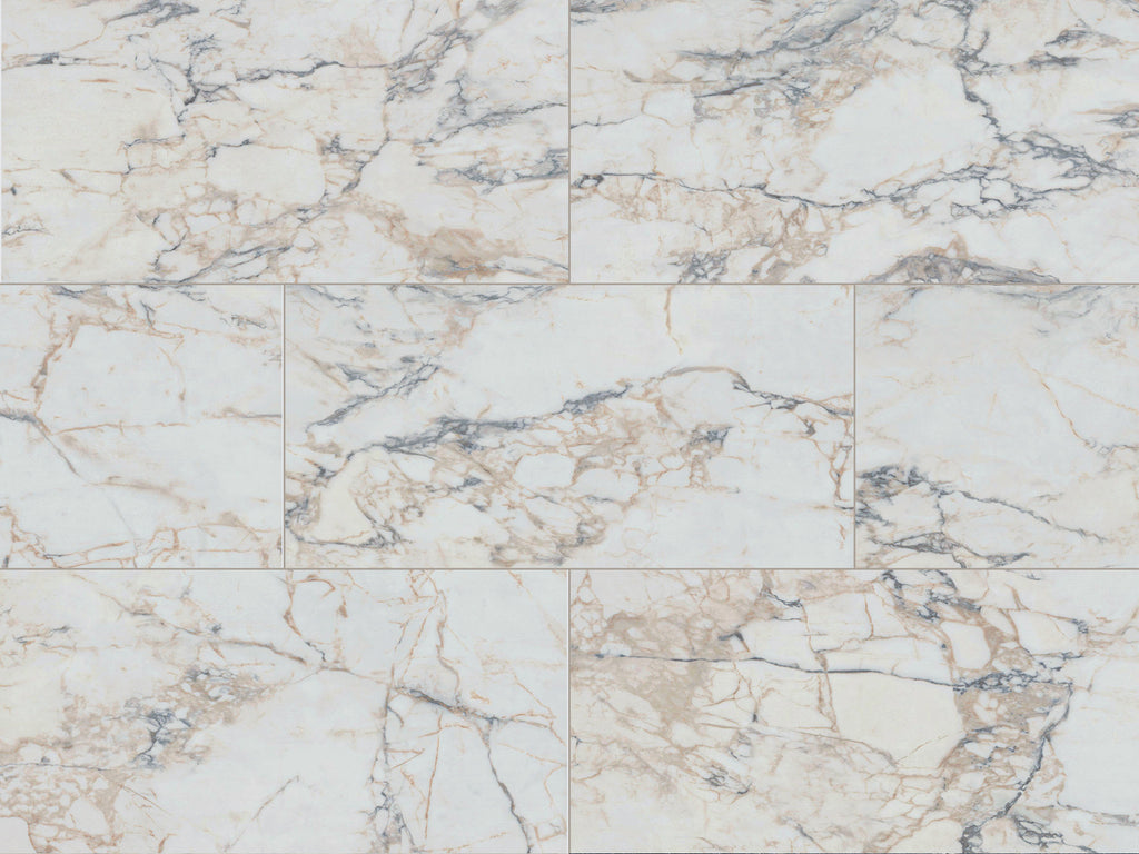 whiteice_0a1f96de-3e45-4bb6-