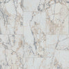 Paramount Bliss Dry Back White Ice Sample