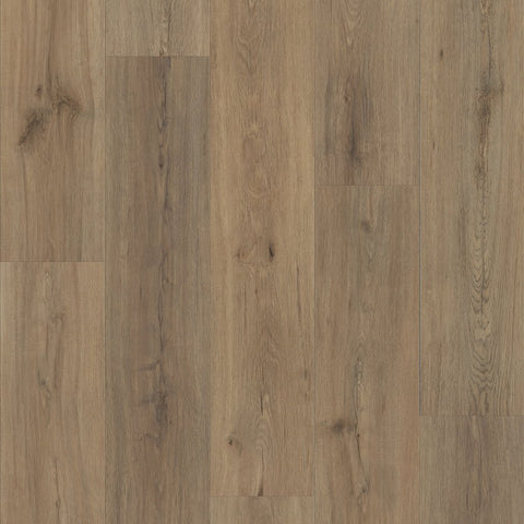 Shaw Endura 512C Plus Wild Dunes Swatch