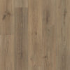 Shaw Endura 512C Plus Wild Dunes Swatch