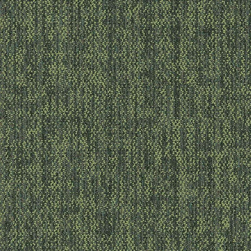 Shaw Carpet Tile Crazy Smart Witty