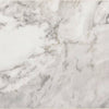 Daltile Divinium Rectangle 3x12 Zion