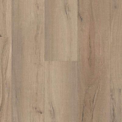Shaw Endura 512C Plus Driftwood