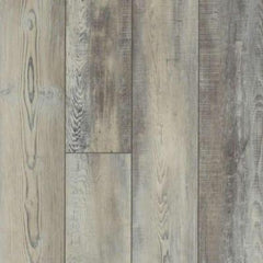 Shaw Pantheon HD Plus Calcare Shaw Shaw 