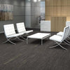 Shaw Carpet Tile String it Hitch Shaw Shaw 