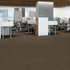 Shaw Carpet Tile Knot It Thread Shaw Shaw 
