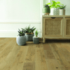 Raintree Laguna Vibes Plateau Raintree Raintree 