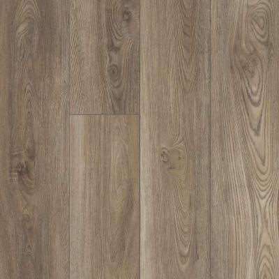 Shaw Distinction Plus Ash Oak