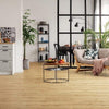 Quick-Step Perdestia Wheat Oak Quick-Step Quick-Step 